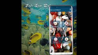 Koi Pet Fish Live Wallpaper screenshot 4