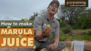 Tickle Your Tastebuds | Marula Juice