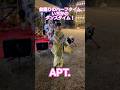 #ライブ #apt #祭り #盆踊り #盆踊りネキ 小学4年の音頭取り ハーフタイムでも盛り上げ!子どもたちと楽しむ!!