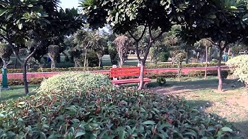 Coolpad Note 3 VIdeo recording sample