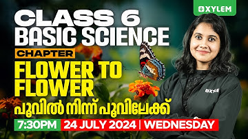 Class 6 Basic Science | Chapter: Flower to Flower / പൂവിൽ നിന്ന് പൂവിലേക് | Class 6