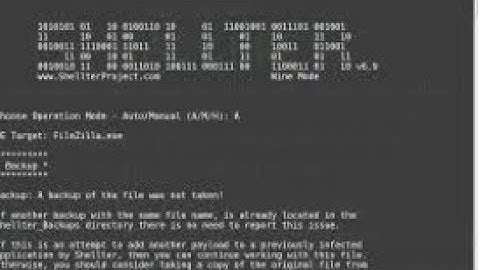 Pentest: Shellter