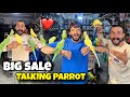 MISHKAT KHAN NE APNE FANS K LIYE SALE LAGA DI USAMA PETS PR ❤️ #mishkatkhan #usamapets #parrot