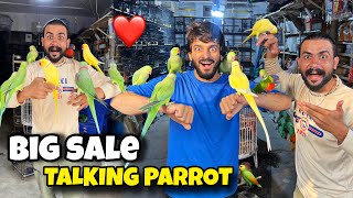 MISHKAT KHAN NE APNE FANS K LIYE SALE LAGA DI USAMA PETS PR ❤️ #mishkatkhan #usamapets #parrot