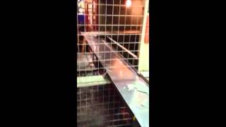 Two Shakers removing scrap from Cell