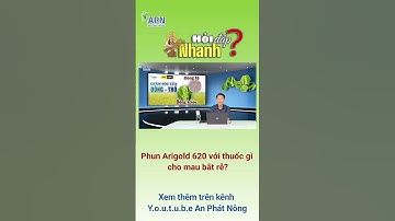 APN - Phun Arigold 620 với thuốc gì cho mau bắt rễ?