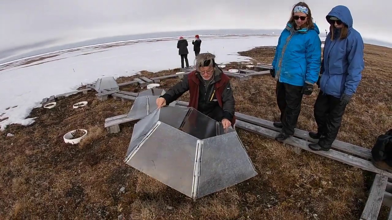 Bob instructs how to install open-top chambers at the beginning of the season at Utqiagivk, Alaska.