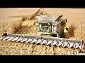 16 Row Olimac - Claas Lexion 7600 & Claas Xerion 5000  Westhoff Agrar - Project X Corn Harvest 2021