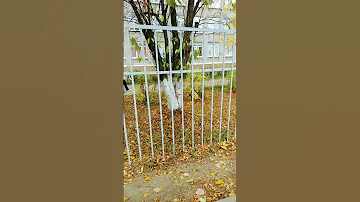 школа номер 64 внутри и снаружи 