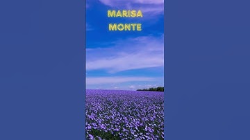 Thumbnail of Marisa Monte- Vilarejo #marisamonte #vilarejo #mpb #músicapopularbrasileira