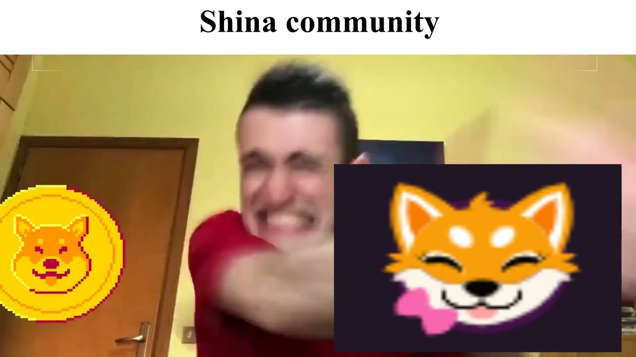 EPIC shina inu MEME VIDEO