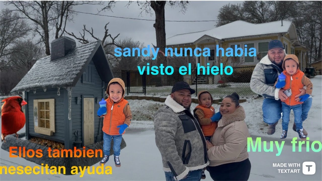 Ellos tambien sufren el frio 🕊️. Caminos congelados🛣️❄️. Ella nunca habia visto algo asi. 🥶