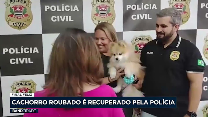 Final feliz: cachorro roubado é recuperado pela polícia