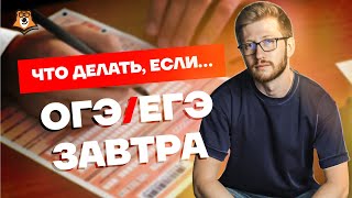 Посмотри это видео, если ОГЭ/ЕГЭ завтра | Обществознание ОГЭ 2022 | Умскул