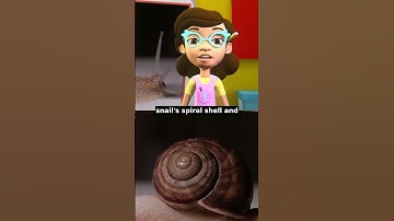 Fractals in Nature #nature #science #maths #infinity #fractal