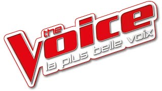 Évolution des génériques de The Voice : La Plus Belle Voix