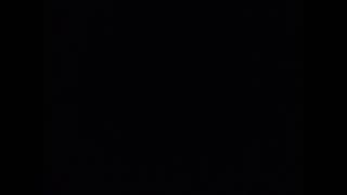 Gostos Dançando No Baile