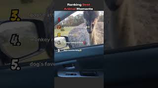 Wait Till The End...