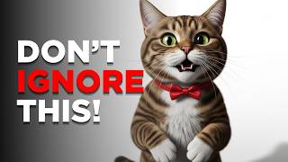 Unlock Your Cat’s Secret Language  It’s Easier Than You Think! (Decode Every Meow)