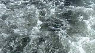 High Tide Video 2003
