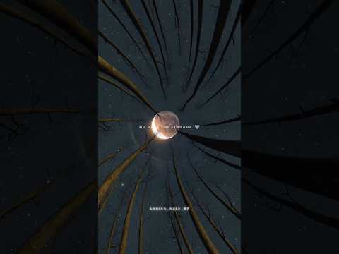 Main Dhoondne Ko Zamaane Mein Aesthetic Sad Status Slowed Reverb Song Status Sad Shorts 