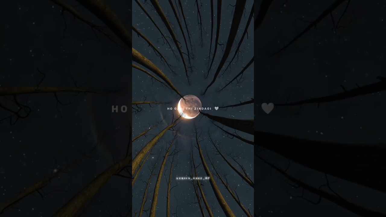 Main Dhoondne Ko Zamaane Mein 🥺💔🥀 ~ Aesthetic Sad Status || Slowed Reverb Song__