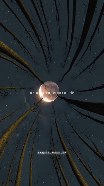 Main Dhoondne Ko Zamaane Mein 🥺💔🥀 ~ Aesthetic Sad Status || Slowed Reverb Song__#status #sad #shorts