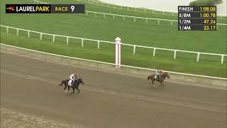 Vidéo de la course PMU MAIDEN SPECIAL WEIGHT