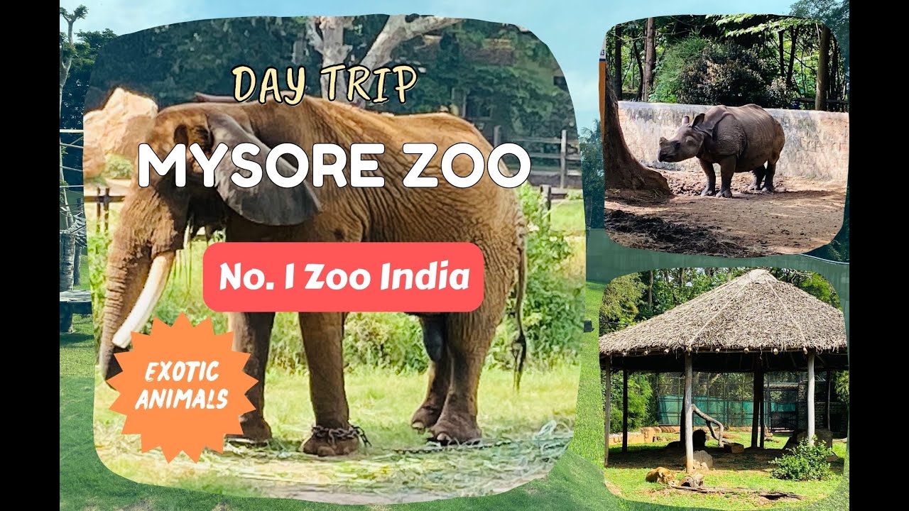 Mysore Zoo Best Zoo in India Karnataka , India YouTube