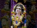 Hare Krishna #iskcondesiretree ♥️