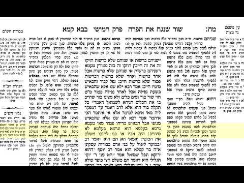 בבא קמא דף מט