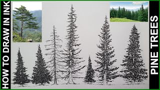 How to Draw Pine Trees in Ink | Easy Step-by-Step Guide