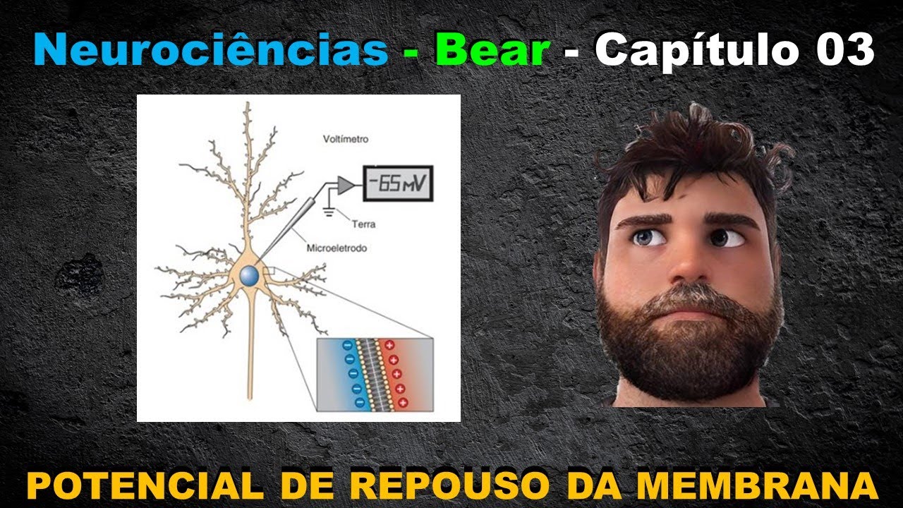 Neurociências - Bear - Capítulo 03