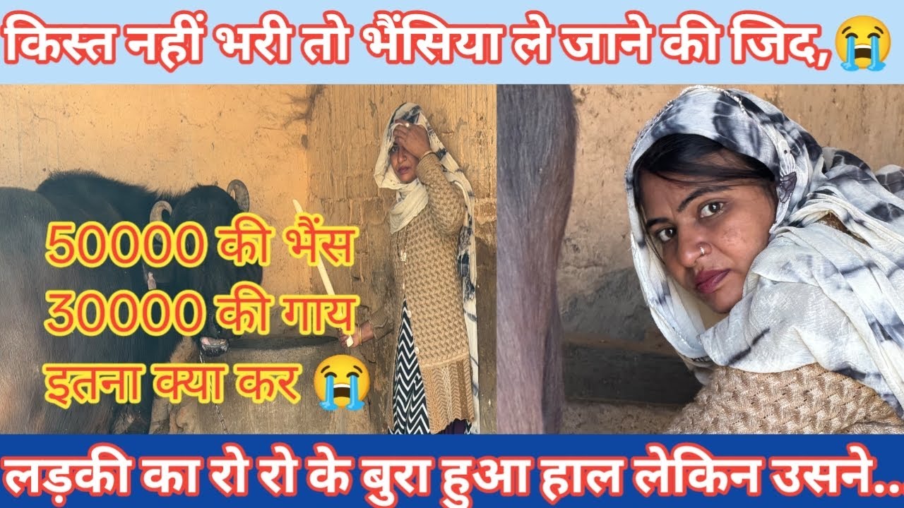 बुधवार वाली किस्त नहीं भरी तो भेंस और गाय 🐄 क्यों ले जा 😭😭