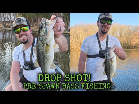 IM BACK! (Drop SHOT Pre Spawn BASS FISHING) #fishing #bassfishing #prespawn