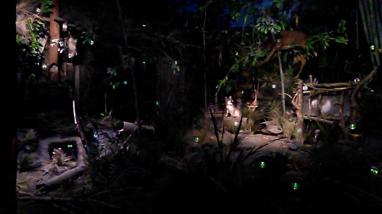 Bass Pro Shop Shooting Gallery YouTube