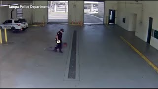 Tampa Officer Fired After Dragging Handcuffed Woman Into Jail