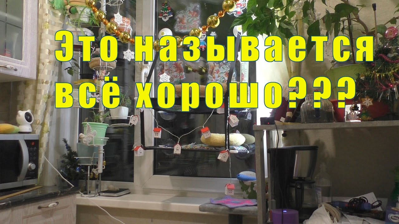 ПРИШЛОСЬ ЗАНЯТЬСЯ ЗДОРОВЬЕМ/ ТАК НОРМАЛЬНО ИЛИ НЕТ? 11/ 12 и 13 января 2026