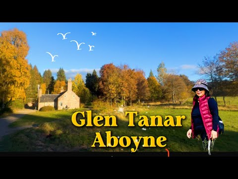 The beauty of Glen Tanar Aboyne