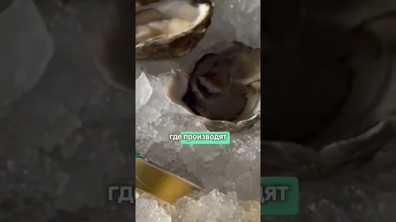 Аркашон - город морепродуктов и миллиардеров. 