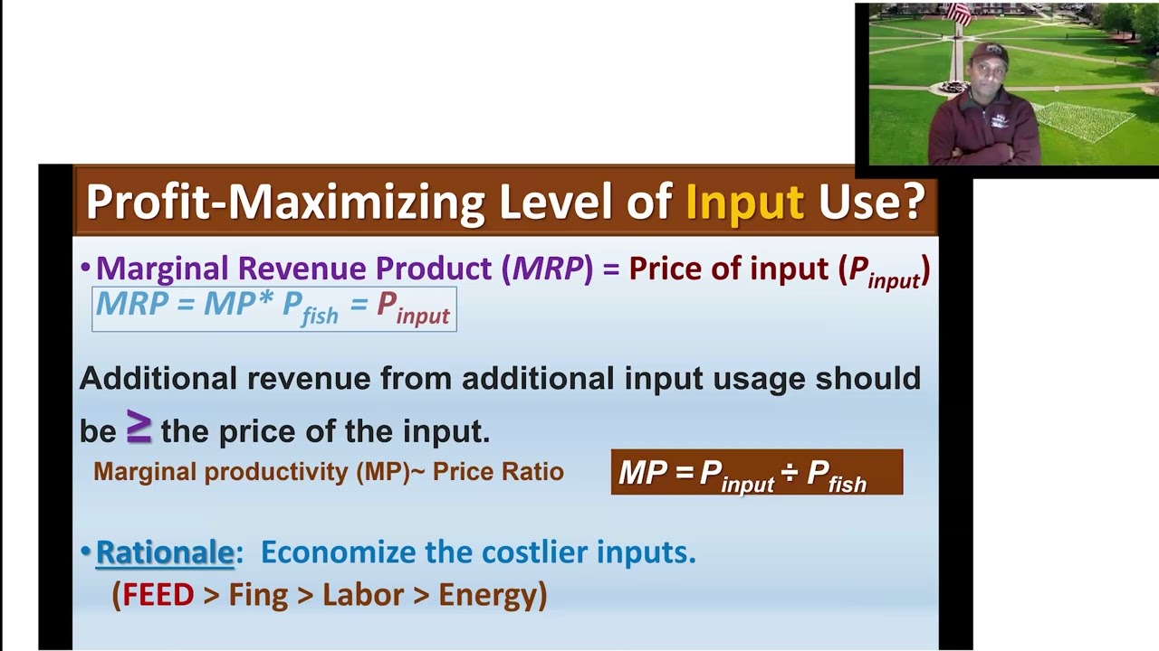 Краткий курс по ведению бизнеса в аквакультуре: финансовые ловушки