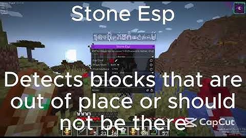 The best addon for donutsmp meteor client | DUPE | NOT PATCHED