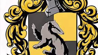 Struggles only Hufflepuffs understand!💛🖤💛