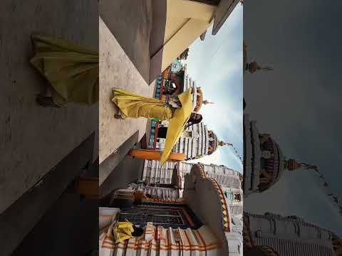 #ishucutebutterfly #telugushorts #telugu #trending #viralvideo
