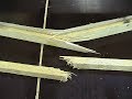 Wood Identification 101 episode 1, Spruce and Fir Wood Identification 101 episode 1, Spruce and Fir