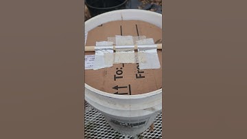 Bucket mouse trap - 2023 #bestmousetrap #mousetrap #mousetrap2022