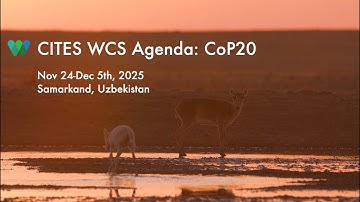 CITES COP20: WCS’s Susan Lieberman on WCS’s priorities at the COP