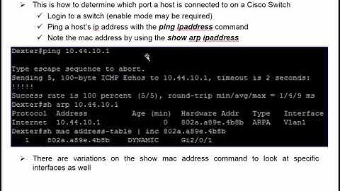 How Can Cisco Discovery Protocol Help Me