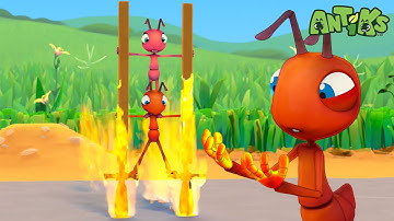 Too Hot to Cross! | Antiks 🐜 | Funny Cartoons for Kids