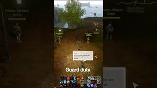 Guard Duty archage